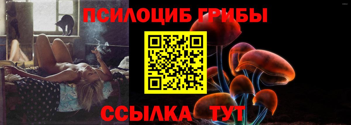 Псилоцибиновые грибы GOLDEN TEACHER  Вход с VPN  Владимир 